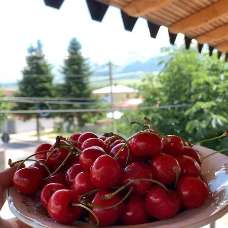 Apartament Appartamento